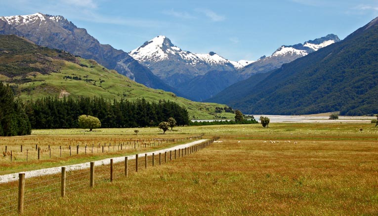 Bnzq-newzealand-biking-6